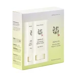 Pack Duo Matte Sun Stick Mugwort + Camelia SPF50+ PA++++ Beauty Of Joseon