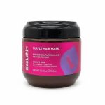 Purple Hair Mask 550ml - Ecolchi